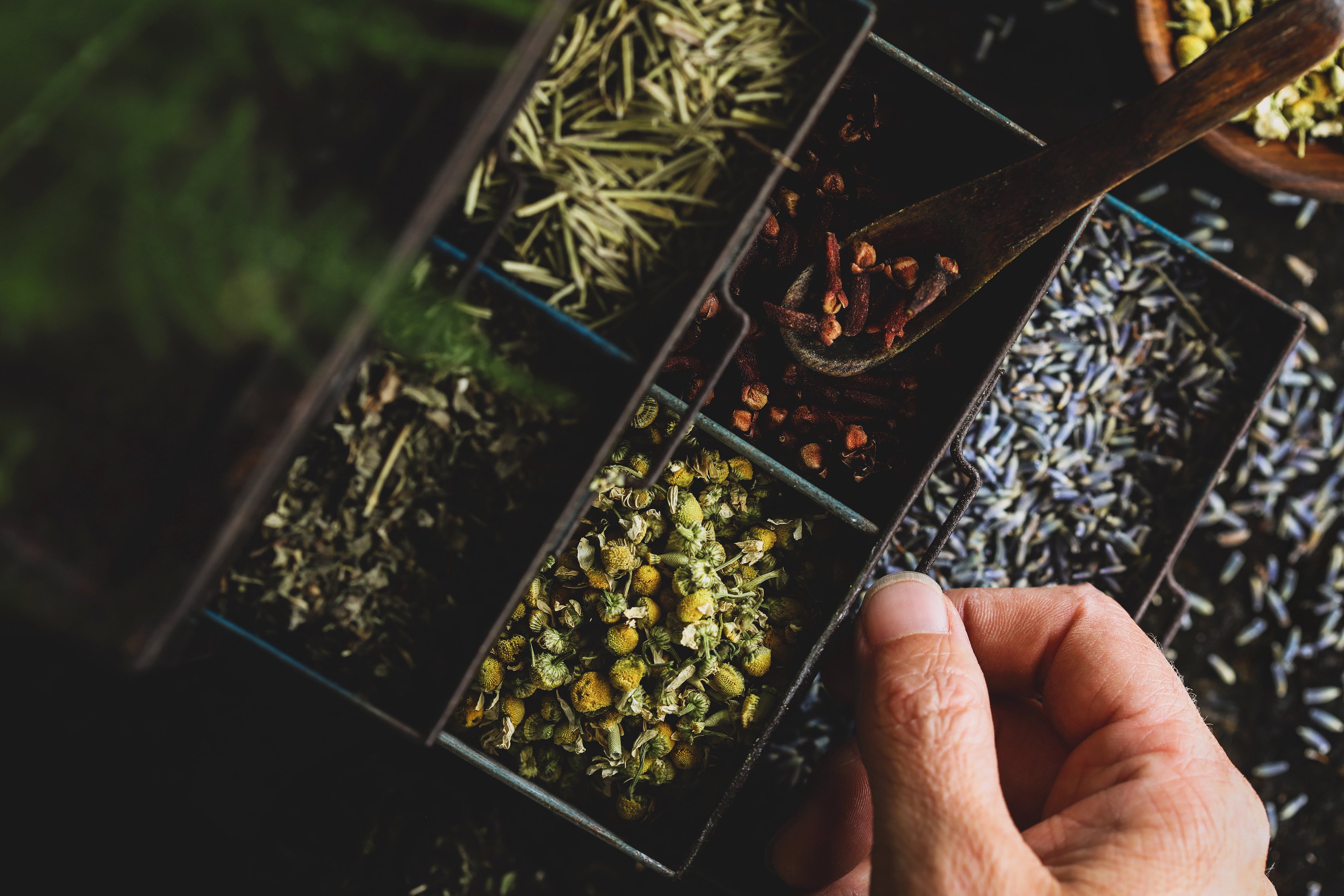 How to Choose High Quality Herbs and Spices
